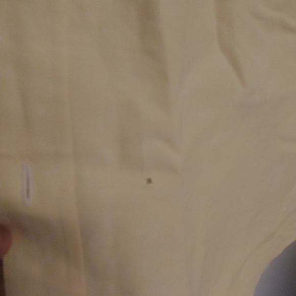 Button down shirt - Picture 2 of 5